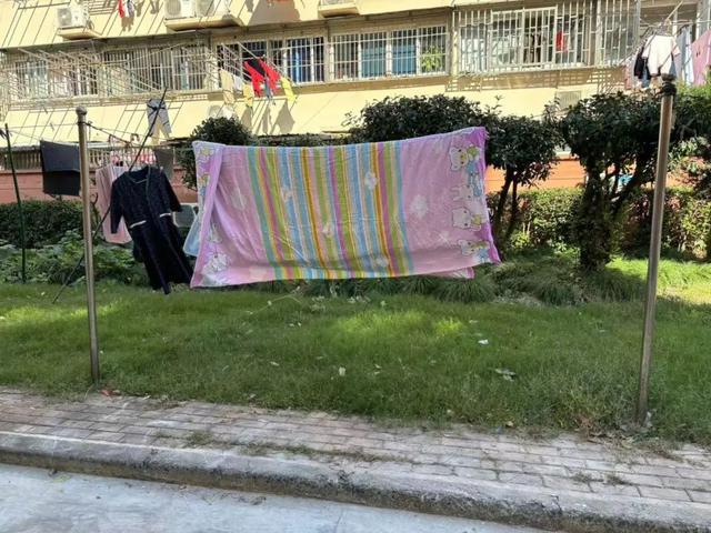 聚向心力提升居民幸福感凯发K8国际娱乐文明凝(图2)